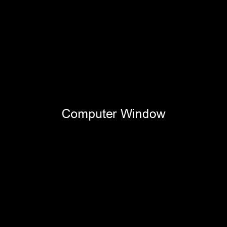 Computer Window